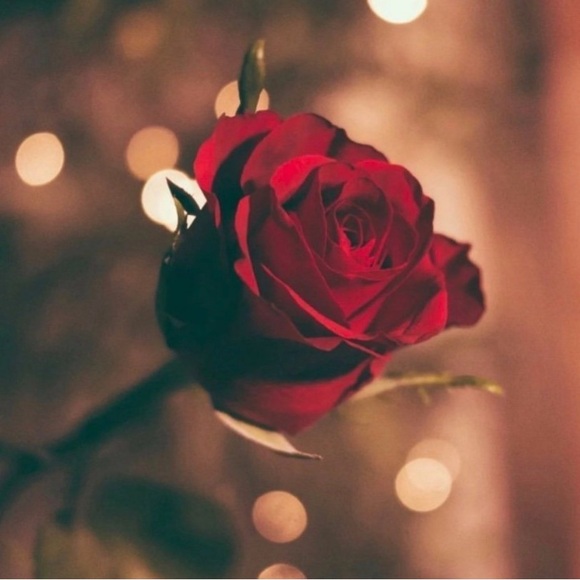 Harley-Davidson Silver and Black Winged Heart Necklace - Picture 5 of 6